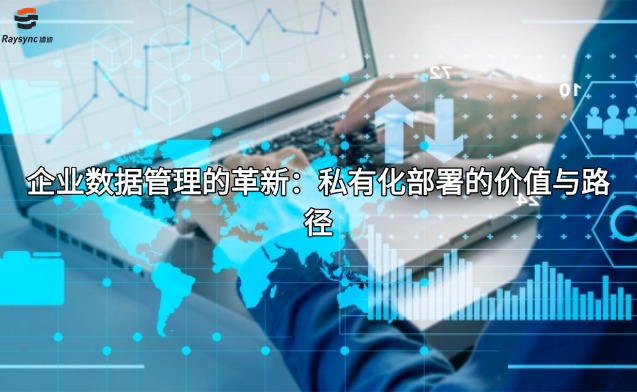 企业数据管理的革新：私有化部署的价值与路径