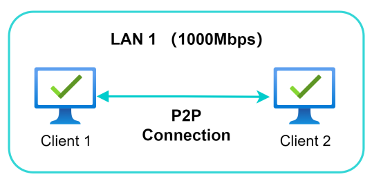 镭速是如何实现安全可靠的点对点传输技术的？