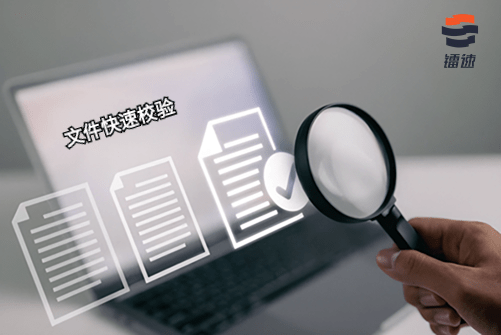 大文件传输之镭速文件快速校验